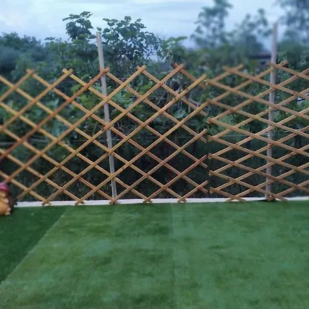 公寓 Nala's House 俄蒙尼斯